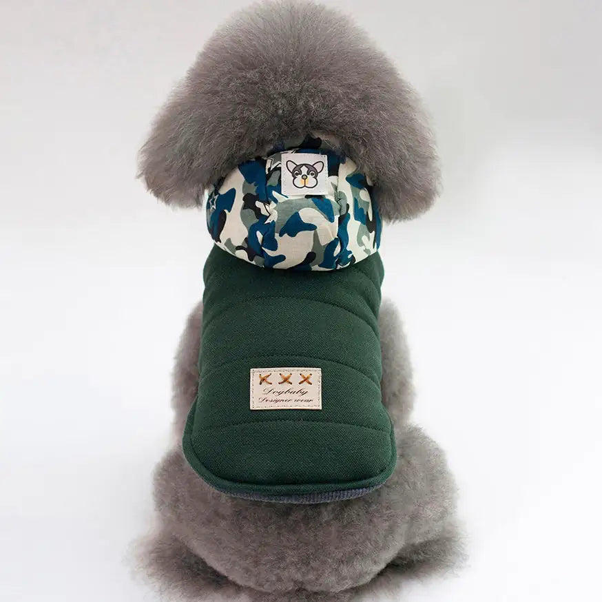 dPanHShzn2NLRlb.webp